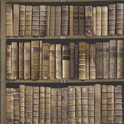 Brewster Wallcovering Trinity Library Brown Book Wallpaper Brown