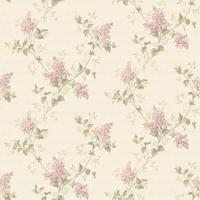Brewster Wallcovering Ascott Pink Lilac Trail Pink