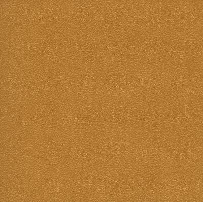 Brewster Wallcovering Brown Luxurious Palatial Brown