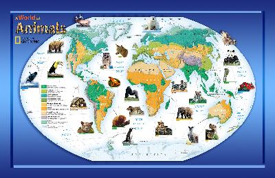 Brewster Wallcovering Animals Of The World 