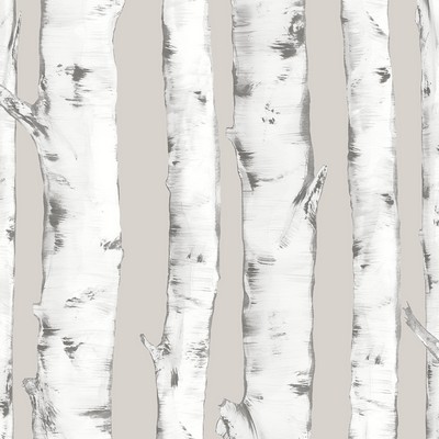 Brewster Wallcovering Downy Birch Peel & Stick Wallpaper Neutrals