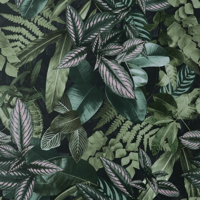 Brewster Wallcovering Green Living Wall Peel & Stick Wallpaper Greens