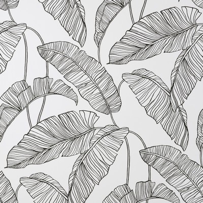 Brewster Wallcovering Black Linear Leaves Peel & Stick Wallpaper Blacks