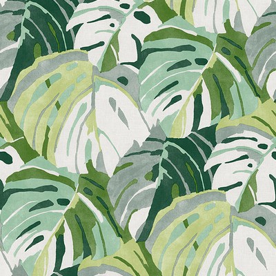 Brewster Wallcovering Green Adansonii Peel & Stick Wallpaper Greens