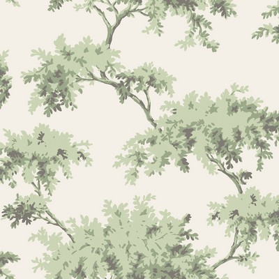 Brewster Wallcovering Sage Alder Peel & Stick Wallpaper Greens