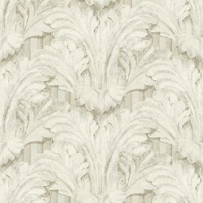 Brewster Wallcovering Acanthus Pewter Sculpted Acanthus Pewter