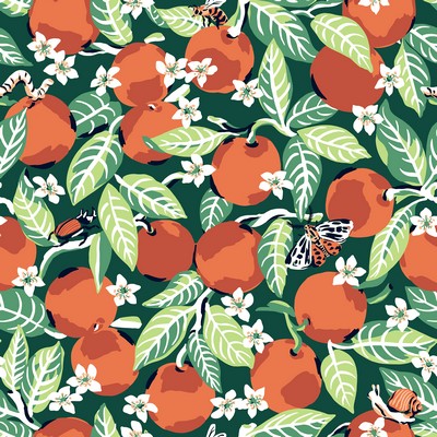Brewster Wallcovering Juniper Orange Grove Peel & Stick Wallpaper Greens