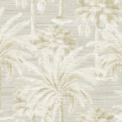 Brewster Wallcovering Dream Of Palm Trees Sand Texture Wallpaper Sand