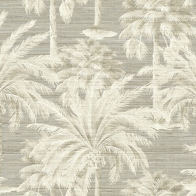 Brewster Wallcovering Dream Of Palm Trees Grey Texture Wallpaper Grey