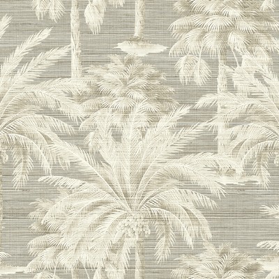 Brewster Wallcovering Dream Of Palm Trees Grey Texture Wallpaper Grey