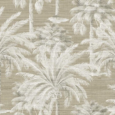 Brewster Wallcovering Dream Of Palm Trees Brown Texture Wallpaper Brown