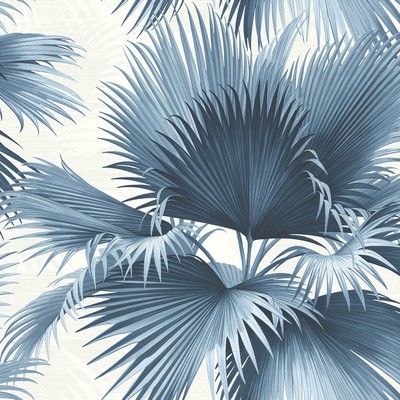 Brewster Wallcovering Endless Summer Blue Palm Wallpaper Blue