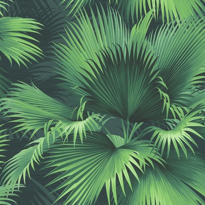 Brewster Wallcovering Endless Summer Dark Green Palm Wallpaper Dark Green