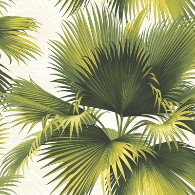 Brewster Wallcovering Endless Summer Green Palm Wallpaper Green
