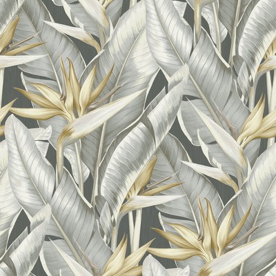 Brewster Wallcovering Arcadia Grey Banana Leaf Wallpaper Grey