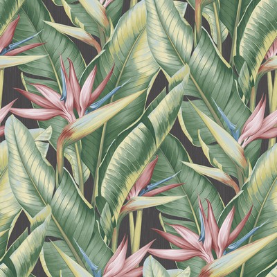 Brewster Wallcovering Arcadia Pink Banana Leaf Wallpaper Pink
