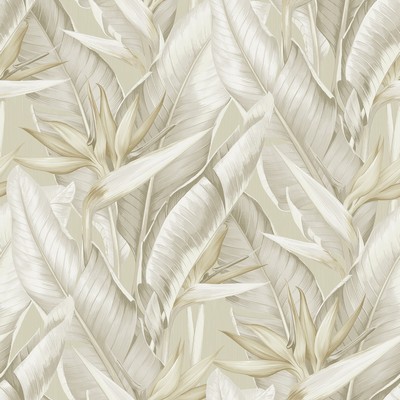 Brewster Wallcovering Arcadia Beige Banana Leaf Wallpaper Beige