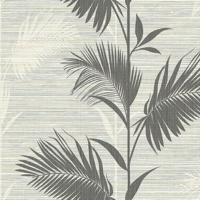 Brewster Wallcovering Away On Holiday Black Palm Wallpaper Black