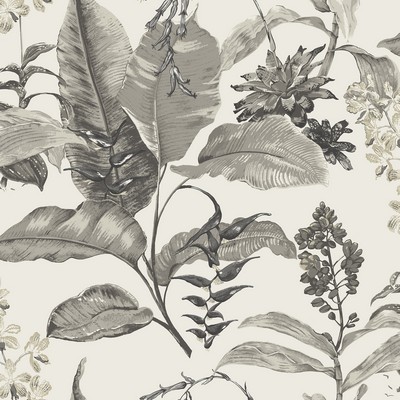 Brewster Wallcovering Maui White Botanical Wallpaper White