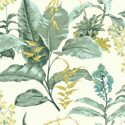 Brewster Wallcovering Maui Green Botanical Wallpaper Green