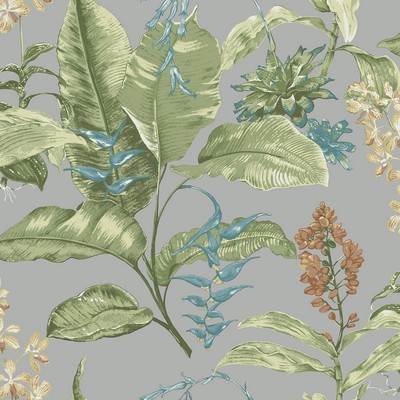 Brewster Wallcovering Maui Grey Botanical Wallpaper Grey