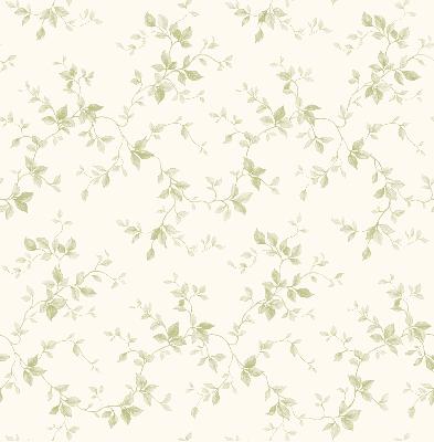 Brewster Wallcovering Sandra Cream Leaf Ivy Toile Wallpaper White