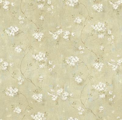 Brewster Wallcovering Braham Green Country Floral Scroll Wallpaper Green