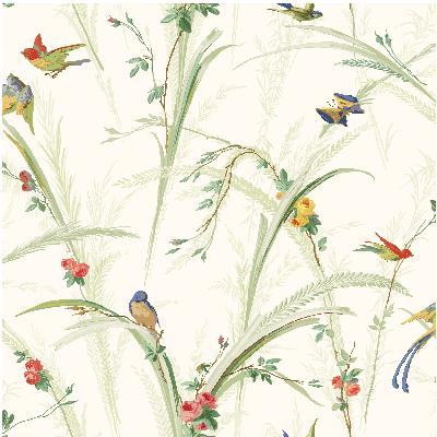 Brewster Wallcovering White Meadow Lark White