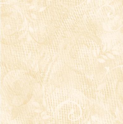 Brewster Wallcovering White Contemporary Acanthus White