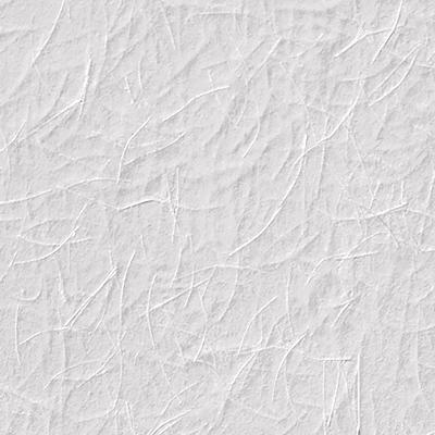 Brewster Wallcovering Wagtail Paintable Armadillo Paintable