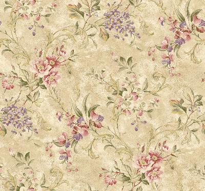 Brewster Wallcovering Donatella Wheat Floral Trail Wheat