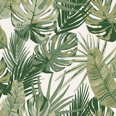 Brewster Wallcovering Green Palmero Peel & Stick Wallpaper Greens