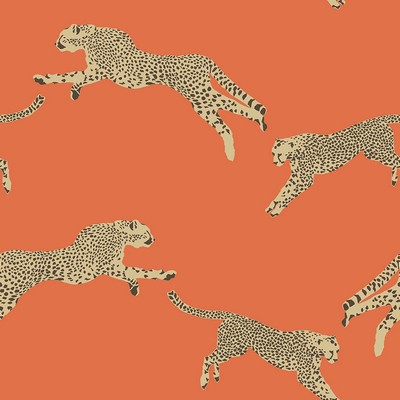 Brewster Wallcovering Clementine Leaping Cheetah Peel & Stick Wallpaper Oranges