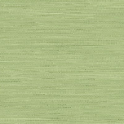 Brewster Wallcovering Citrus Green Classic Faux Grasscloth Peel & Stick Wallpaper Greens