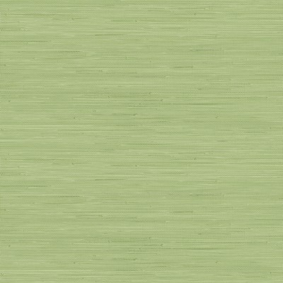 Brewster Wallcovering Citrus Green Classic Faux Grasscloth Peel & Stick Wallpaper Greens