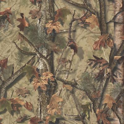 Brewster Wallcovering Sawgrass Brown Camo Forest Brown