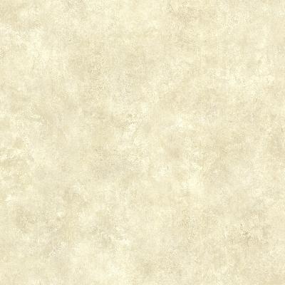Brewster Wallcovering Squantz Stone Scroll Texture Stone
