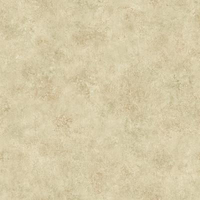 Brewster Wallcovering Zoe Sand Coco Texture Wallpaper Gold