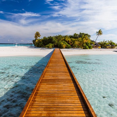 Brewster Wallcovering Way to Paradise Wall Mural Blues