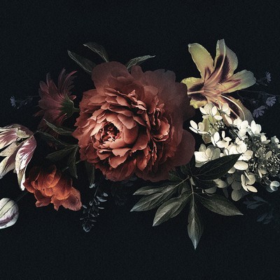 Brewster Wallcovering Flower Bouqet Wall Mural Blacks