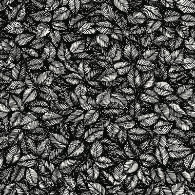 Brewster Wallcovering Amorina Black Leaf Wallpaper Black