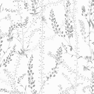 Brewster Wallcovering Bladranker Grey Botanical Wallpaper Grey