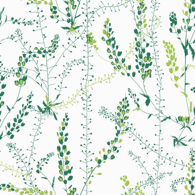 Brewster Wallcovering Bladranker Green Botanical Wallpaper Green