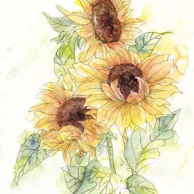 Brewster Wallcovering Girasol Wall Mural Yellows