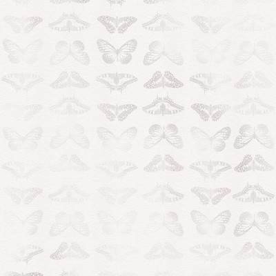 Brewster Wallcovering Mur de Papillons Wall Mural Greys