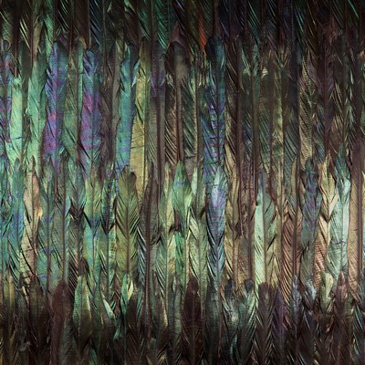 Brewster Wallcovering Dark Wings Wall Mural Blacks