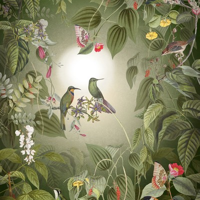 Brewster Wallcovering Wildlife Birds Wall Mural Greens