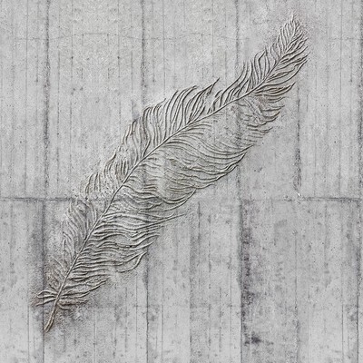 Brewster Wallcovering Concrete Feather Wall Mural Greys
