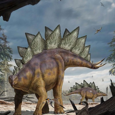 Brewster Wallcovering Stegosaurus Wall Mural Multicolor