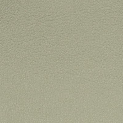 Greenhouse Fabrics A7750 Pumas